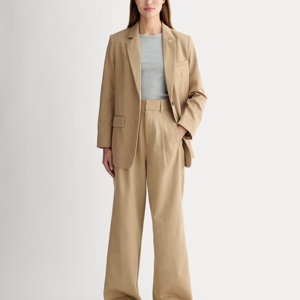 Everlane The Draper Pleated Pant in Buttersmooth